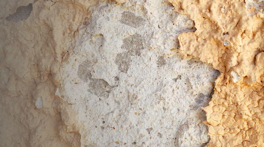 Why choose SureNest Team for water damage restoration in Pearland